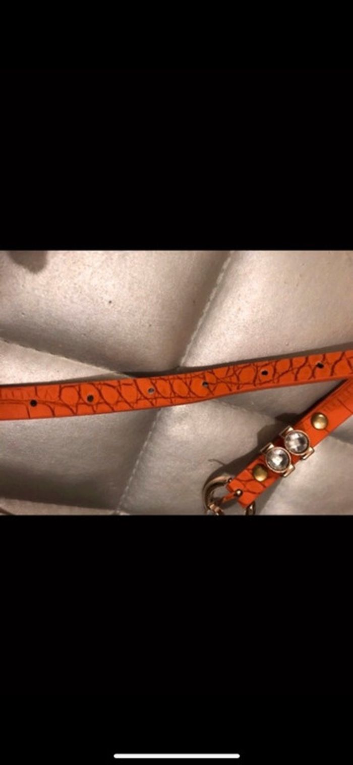 Ceinture camel neuve - photo numéro 2