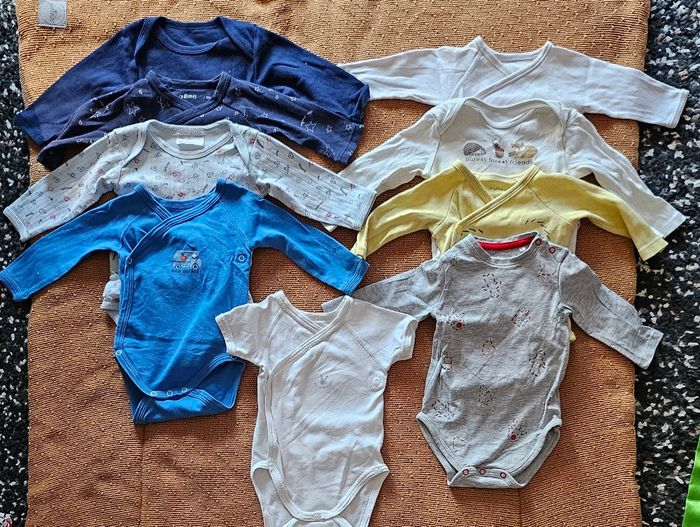 Lot Bodies
