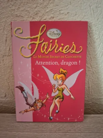 Livre de poche fairies Attention dragon