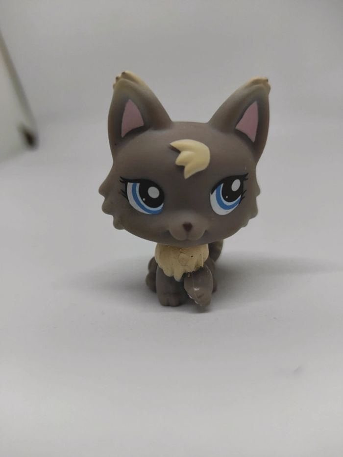 Little Petshop LPS chat persan 1411 cat #geektradelpschat - photo numéro 2