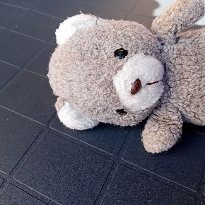 Nounours - photo numéro 3
