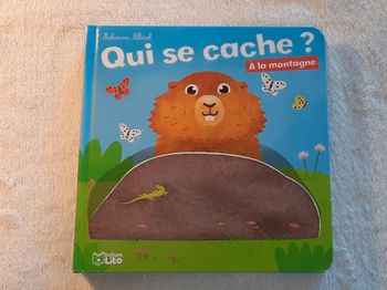 Livre qui se cache ? A la montagne