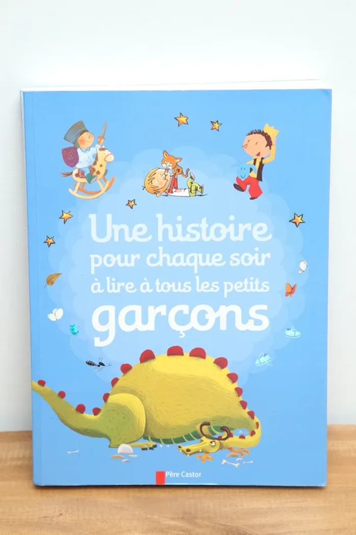 Une histoire pour chaque soir à lire à tous les petits garçons