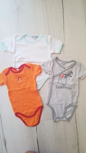 Lot de 3 bodys été garçon 6mois
