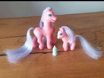 Mon Petit Poney G2  Princess  Light Up Morning  Glory Families