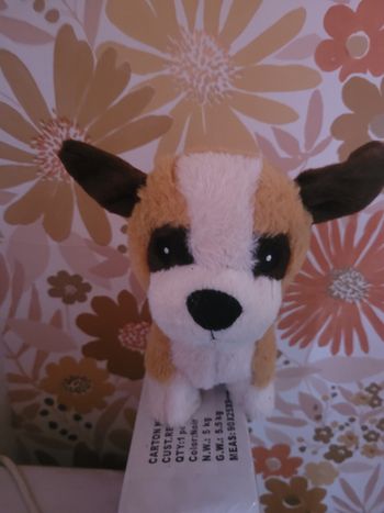 Chien interactif 