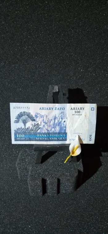 Billet 100 Ariary, Madagascar, année 2004