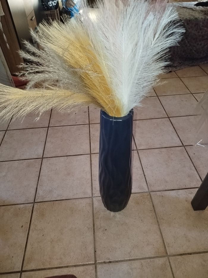 Vases et Pampa - photo numéro 2