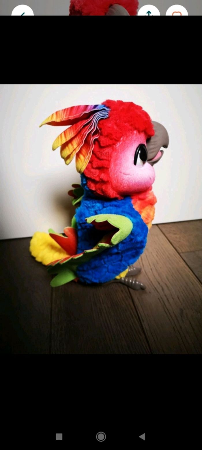 Perroquet show coco interactif - photo numéro 2