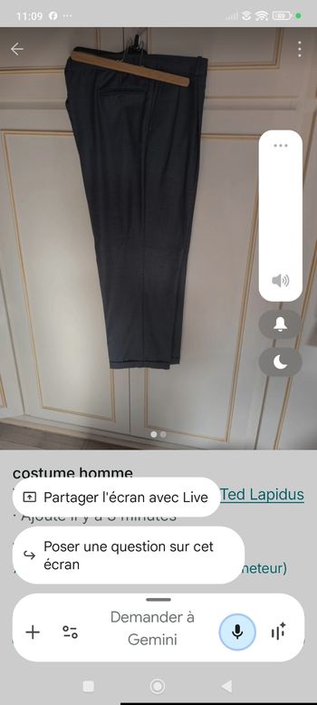costume ted lapidus