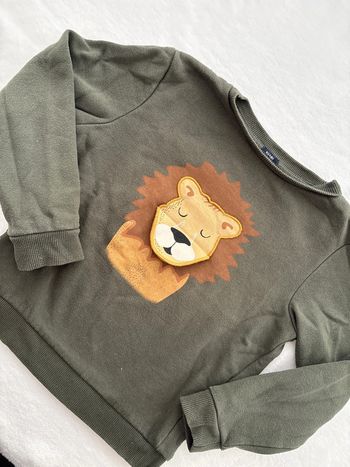 Pull lion 2 faces 8 ans