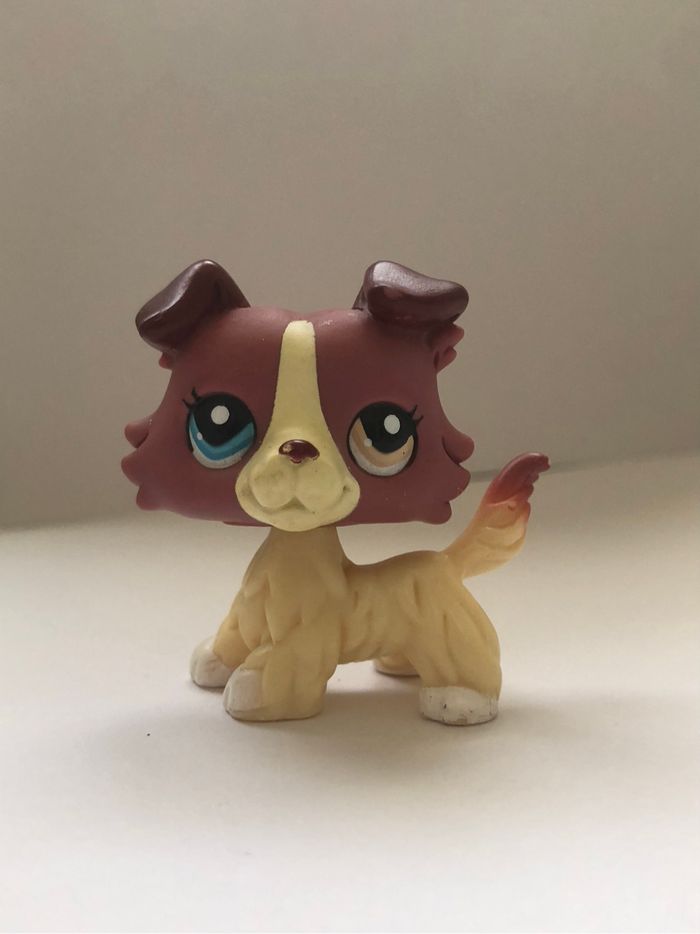 Pet shop : chien colley #1262