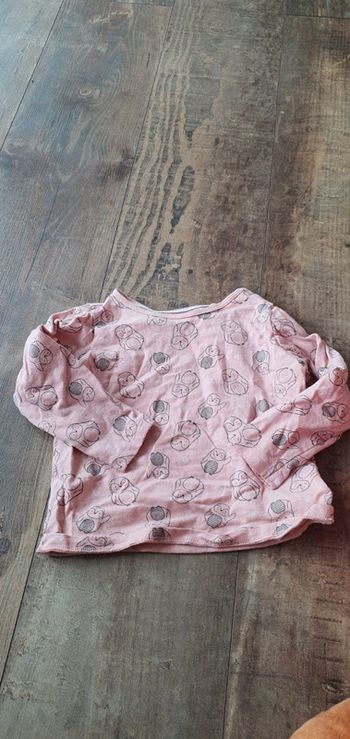 T-shirt lupilu 12 24 mois en très bon état