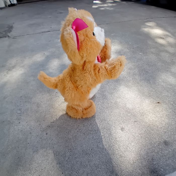 FurReal - photo numéro 2