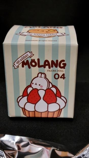 Molang Cake 4th Mystery Blind Box – Exclusive Edition from Seoul