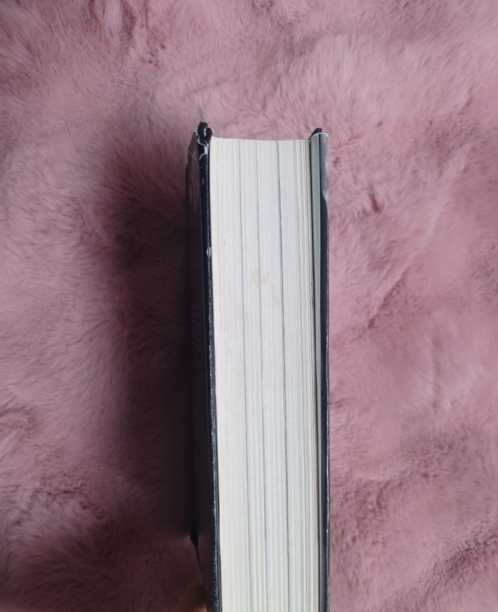 Livre le horsain vivre et survivre en paix de caux - photo numéro 10