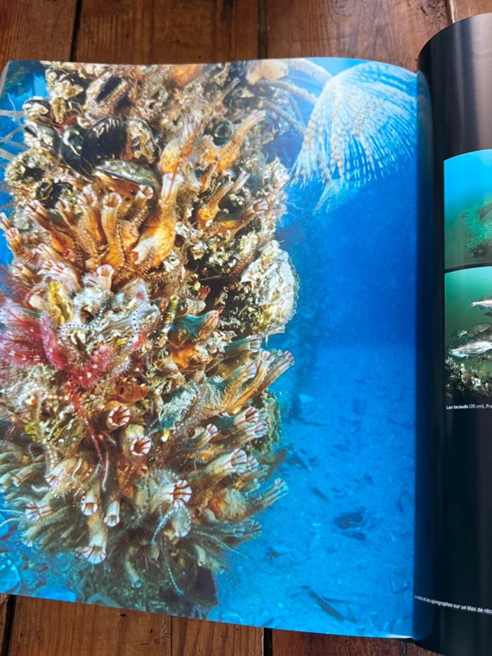 Grand beau livre Planète Mers Nicolas Hulot Laurent Ballesta Pierre Descamp Michel Lafon - photo numéro 10