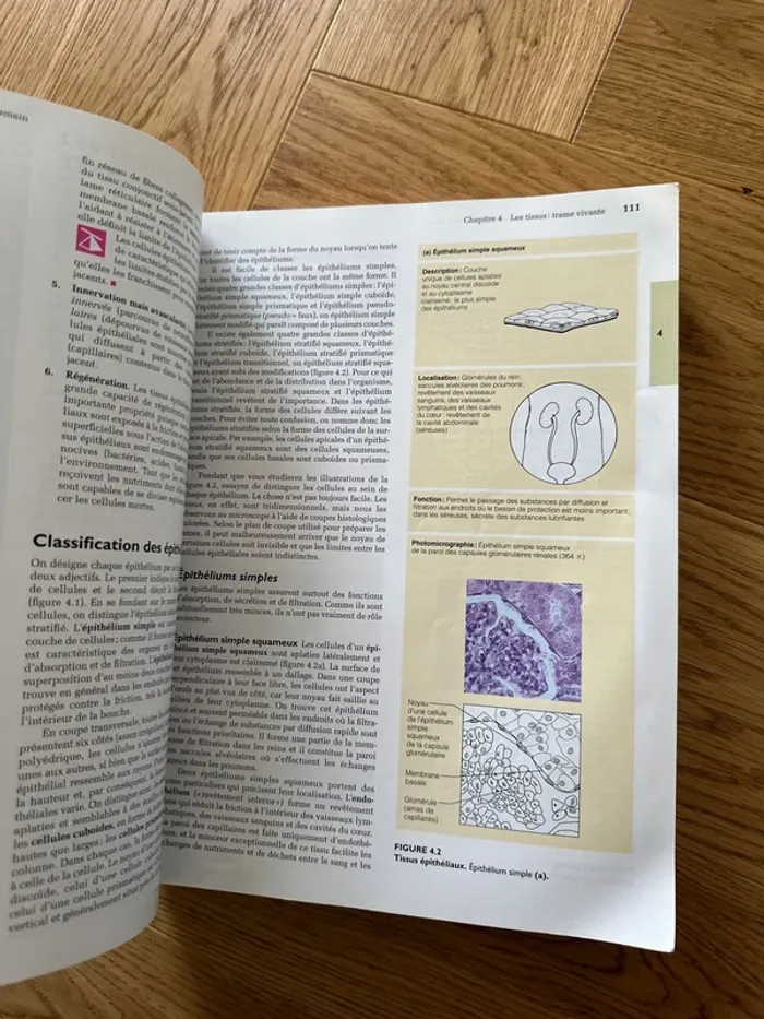 Livre anatomie et physiologie humaine - photo numéro 5