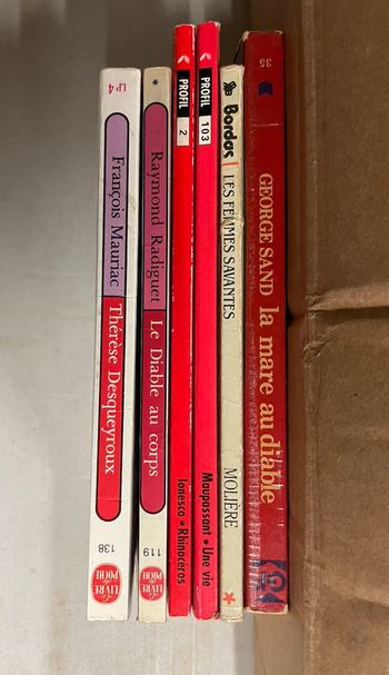 Lot 6 livres classiques