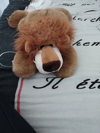Peluche sac