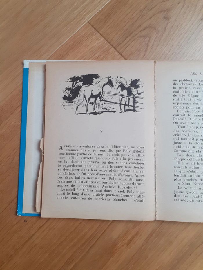 Les vacances de Poly par Cécile Aubry - photo numéro 4