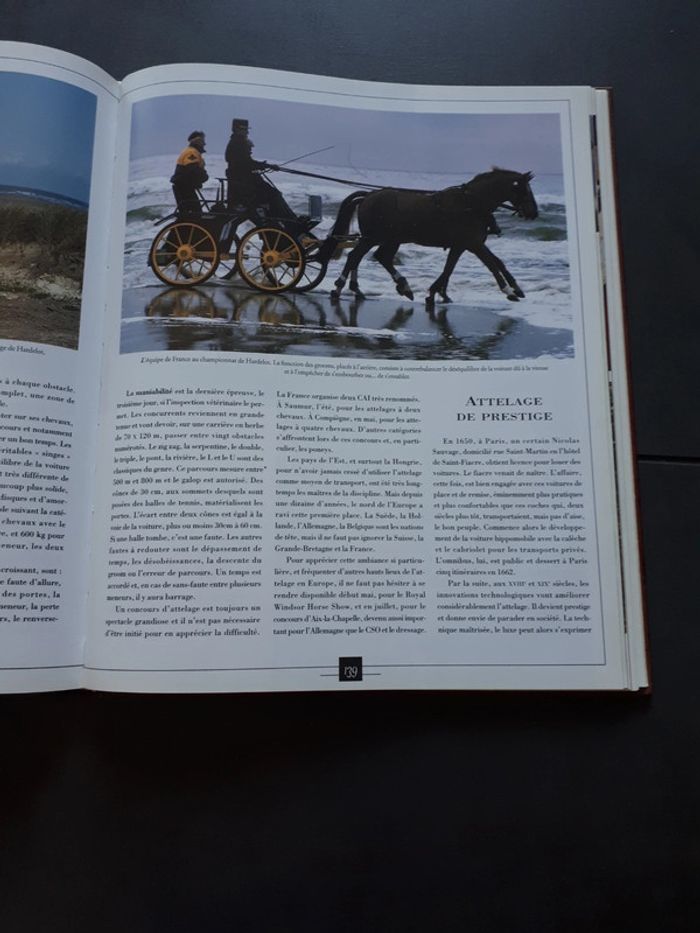 Très beau livre le grand livre des chevaux - photo numéro 15