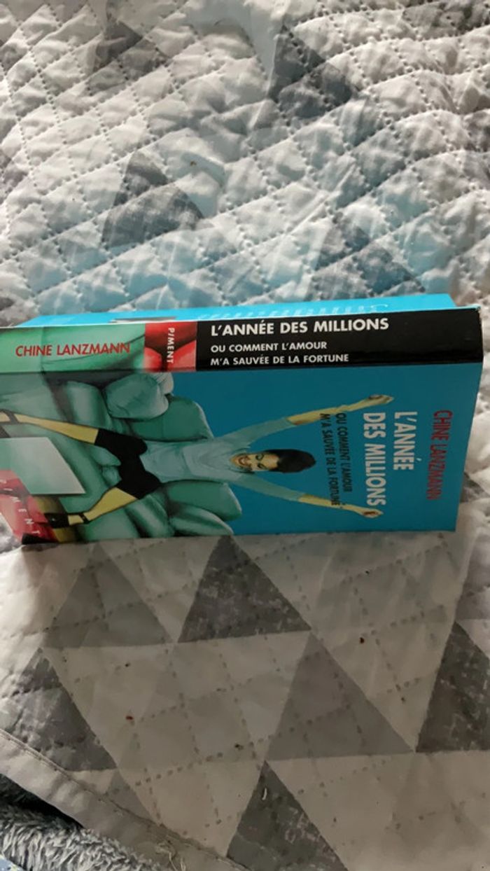 #l’année des millions ou comment l’amour m’a sauvée de la fortune Chine Lanzmann - photo numéro 4