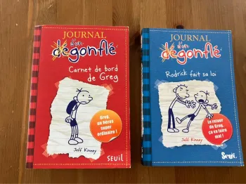 Lot 2 livres Journal d’un dégonflé