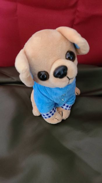 doudou   Chihuahua chiot