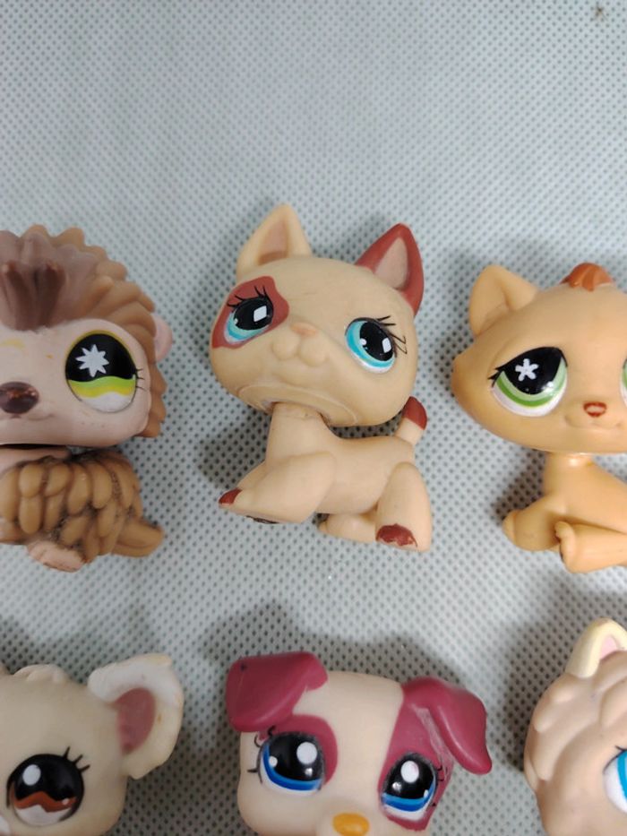 Lot petshop Littlest petshop - photo numéro 6