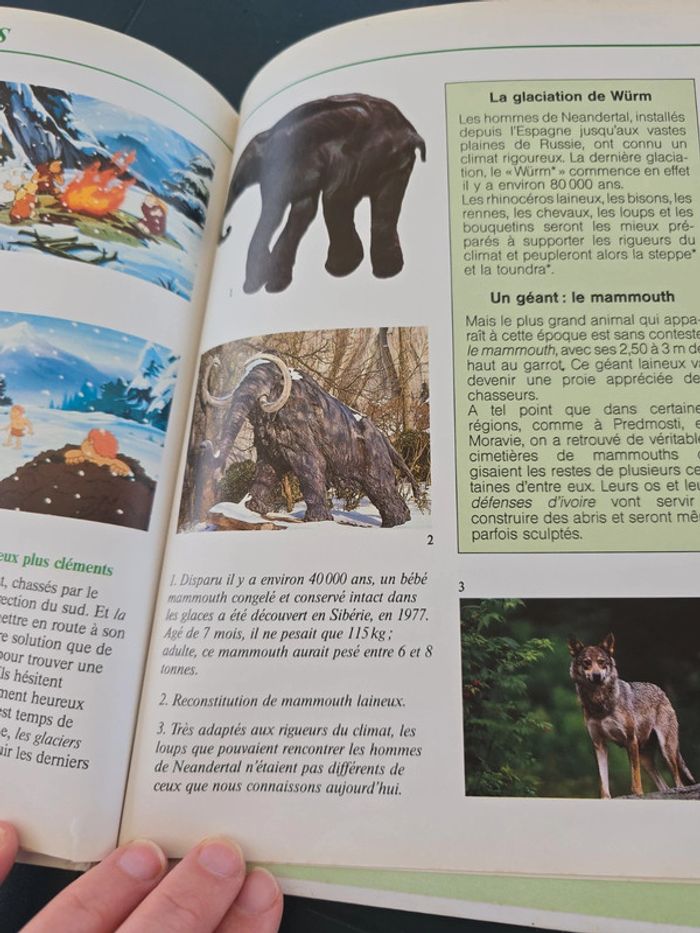 Lot 2 livres l homme Neandertal  #orianabllivre - photo numéro 7
