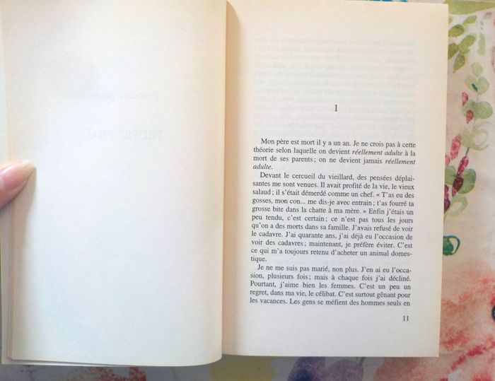 PLATEFORME de Michel HOUELLEBECK Ed. Flammarion - photo numéro 6