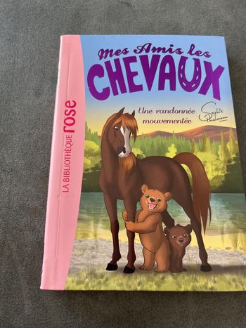 Livre bibliothèque rose mes amis les chevaux tome 5