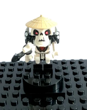 LEGO Ninjago The Golden Weapons - Wyplash, skulkin