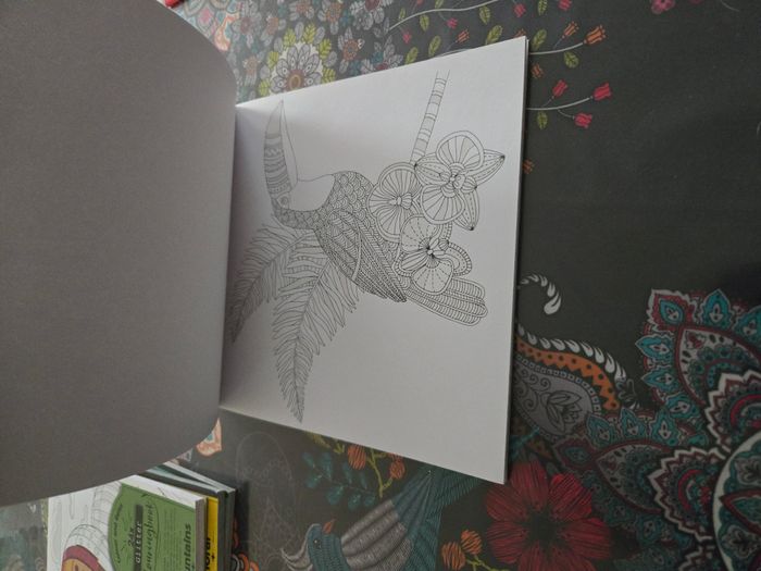 Coloriage Colour and relax - photo numéro 4