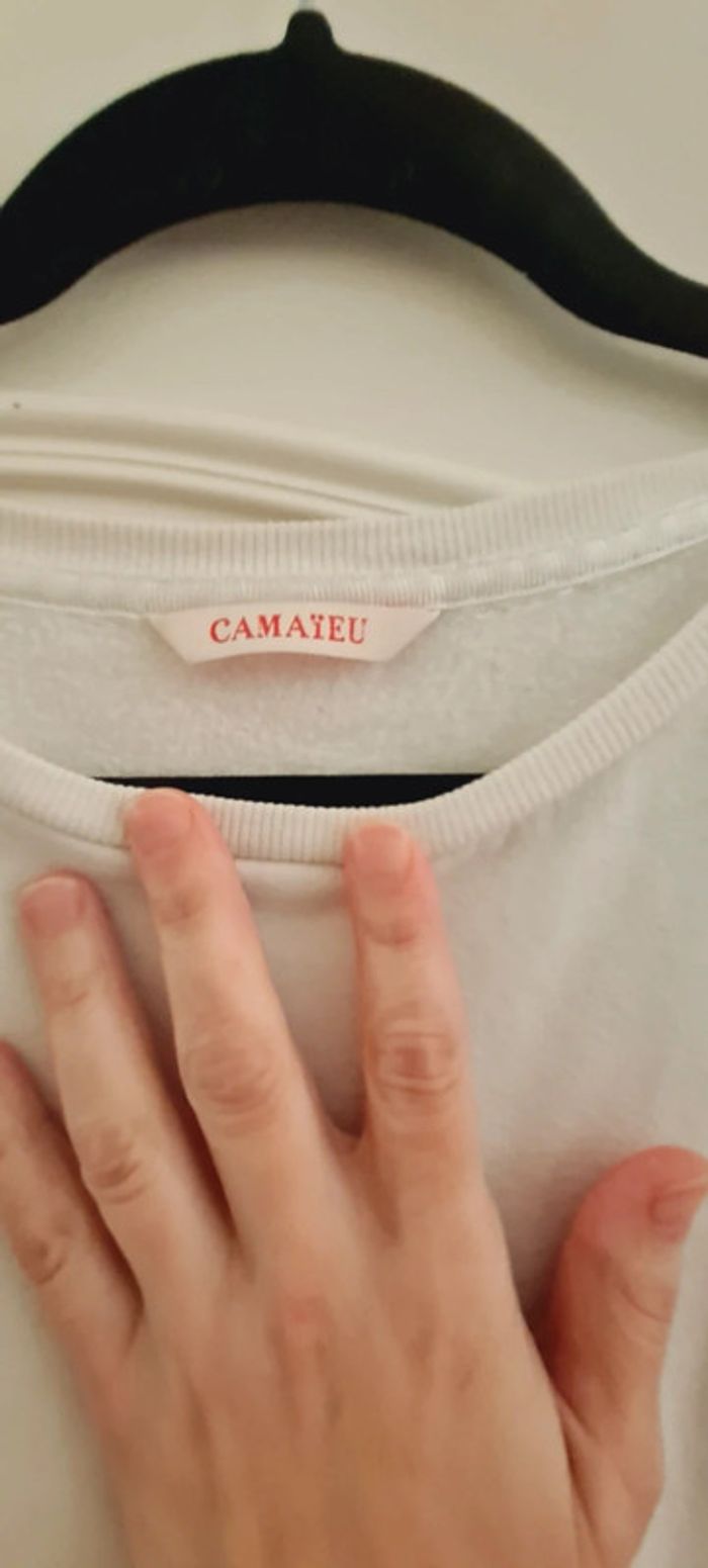 Pull camaïeu - photo numéro 2