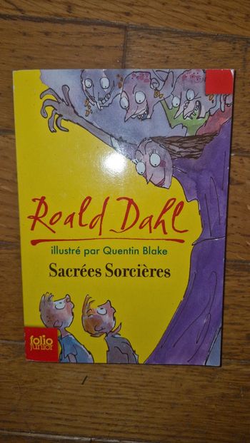 Roald Dahl sacrés sorcieres