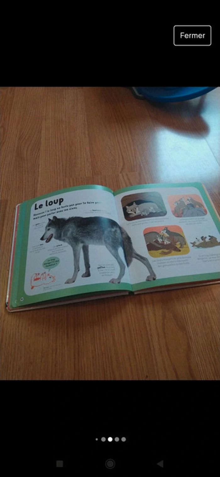 Livre Dokéo - photo numéro 4