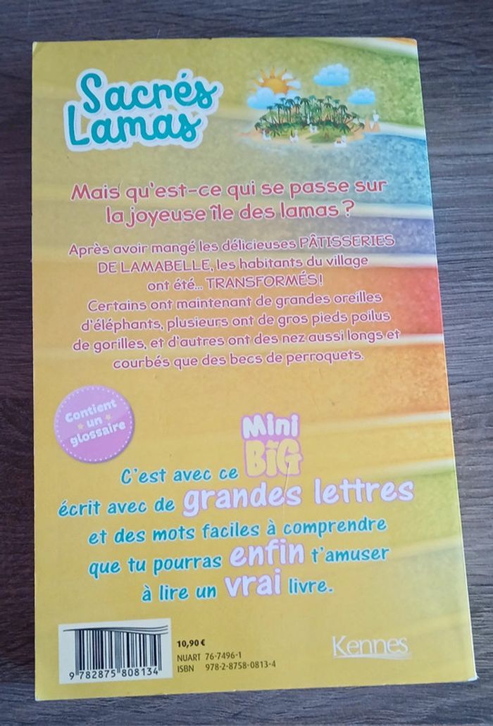 Mini big les pâtisseries de lamabelle - photo numéro 2
