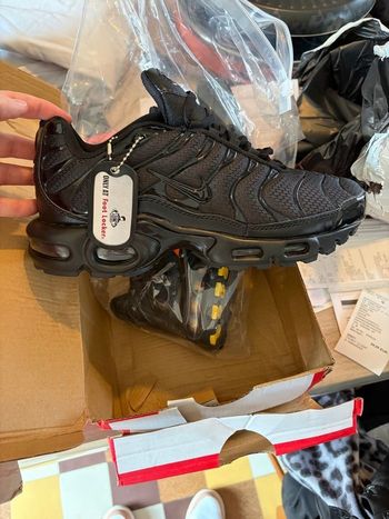 Nike Air Max plus  ( TN ) pointure 42 