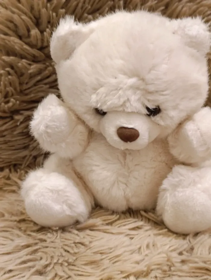 Oudon nounours