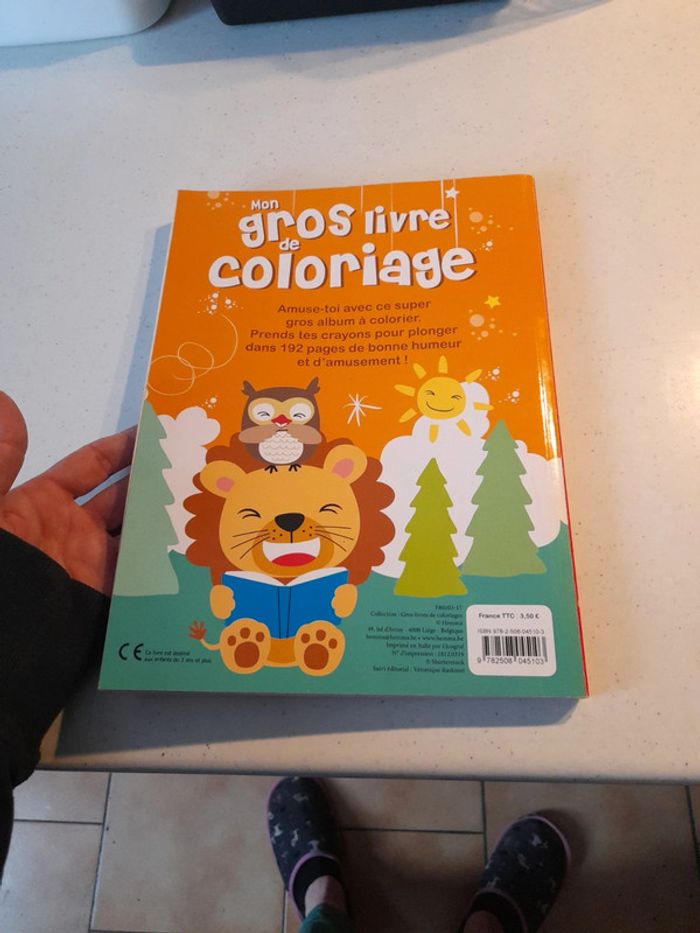 Gros livre de coloriage - photo numéro 2