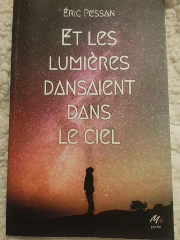 Et les lumières dansaient dans le ciel