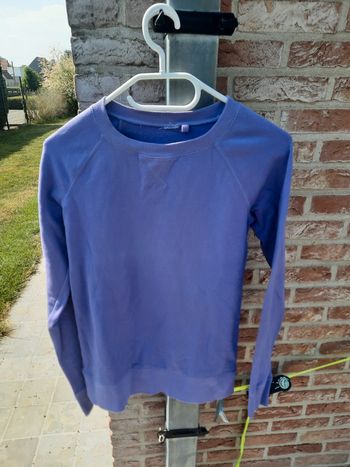 Pull mauve