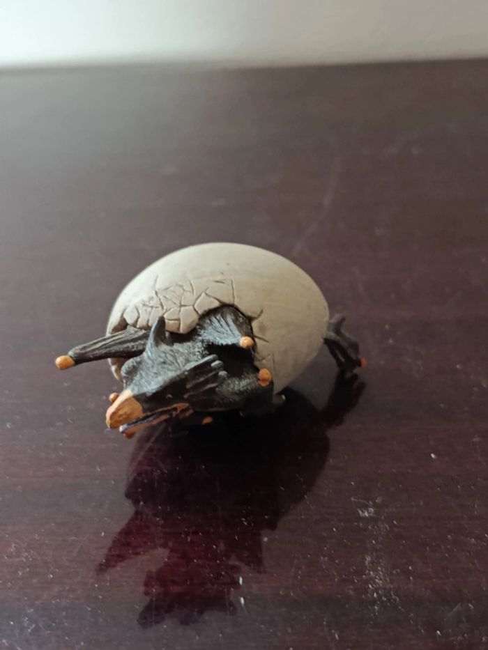 Bébé dragon qui sort de l'oeuf