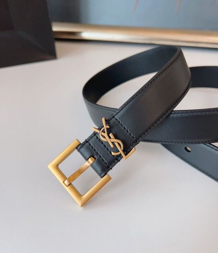 Ceinture saint Laurent - photo numéro 2