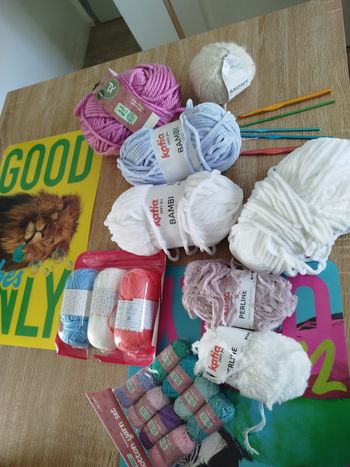 Lots de pelotes de laine+ crochet 
