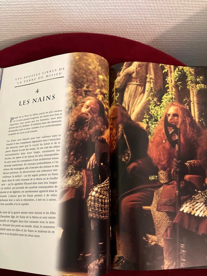 Livre Guide Illustré de la Terre du Milieu Le Seigneur des anneaux - photo numéro 6