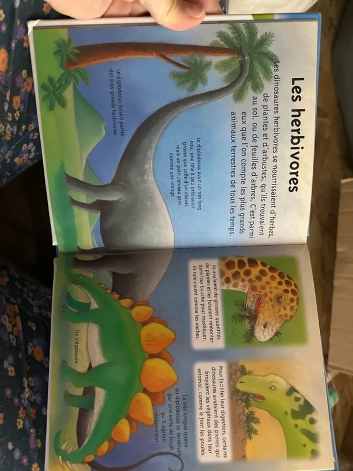 La petite imagerie les dinosaures - photo numéro 5