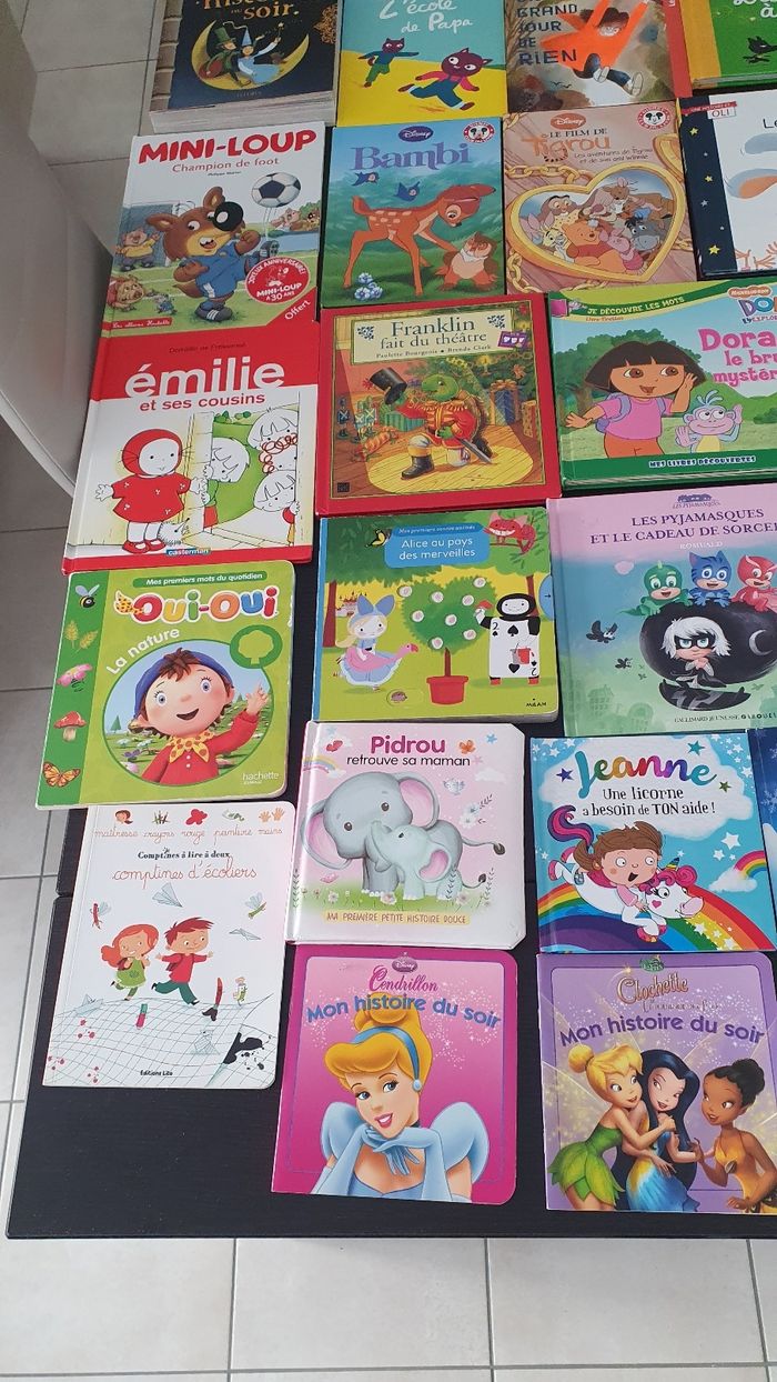 Divers livres pour les petits - photo numéro 2